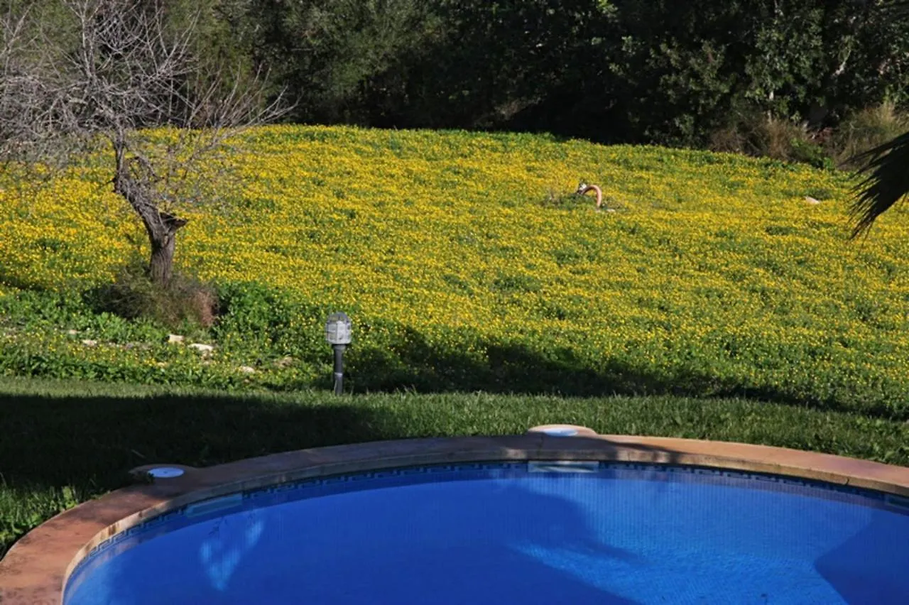 Petit Villa Petra  0*, Petra (Mallorca)