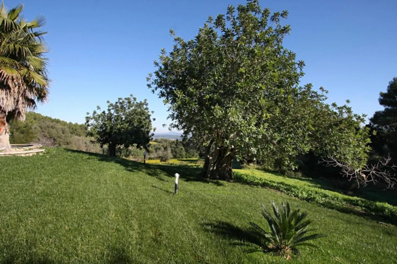 Holiday home Petit Villa Petra